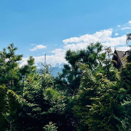 Swarny Zakatek Apartman Zakopane Kültér fotó