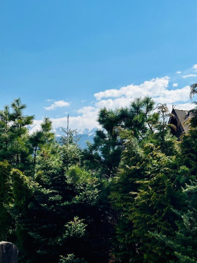 Swarny Zakatek Apartman Zakopane Kültér fotó